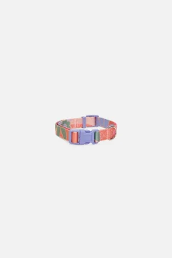 Donna Dog Collar M