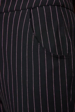Entity Pant