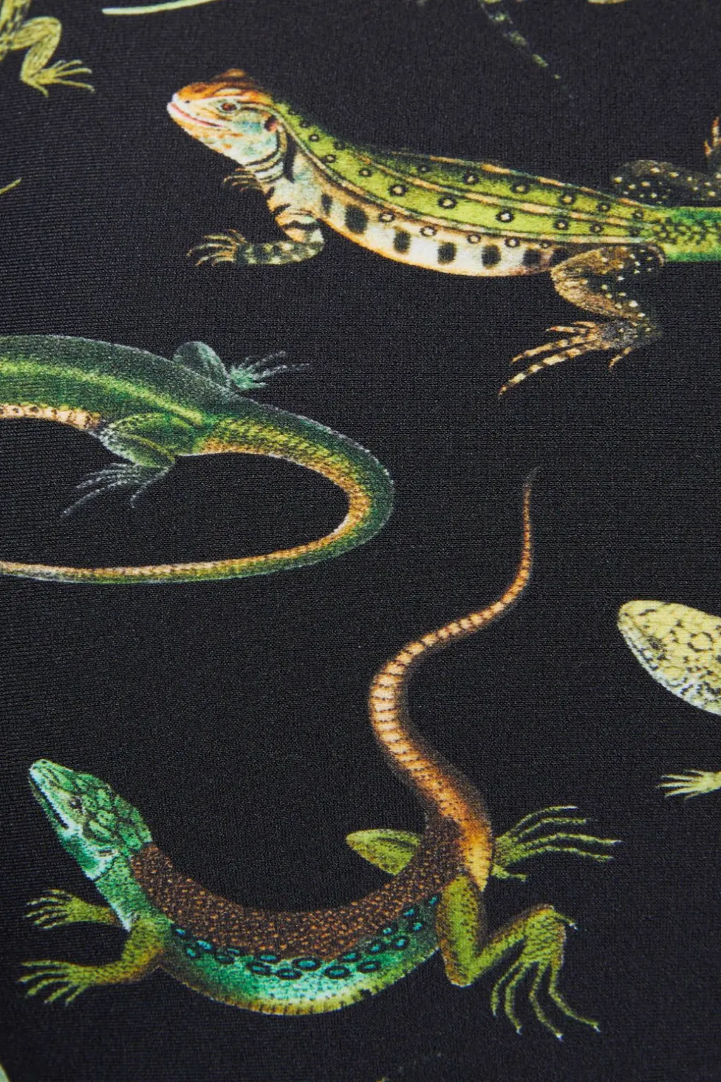 Lizard Fam Bikini Bottom