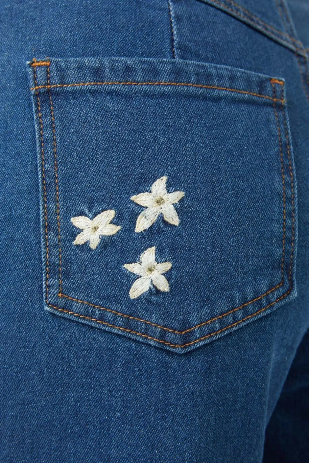 Protea Emb Jean